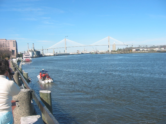 Savannah Bridge